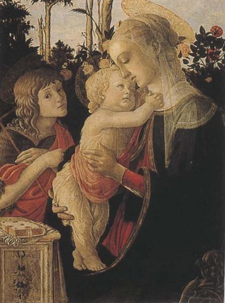 Sandro Botticelli Madonna of the Rose Garden or Madonna and Child with St John the Baptist France oil painting art
